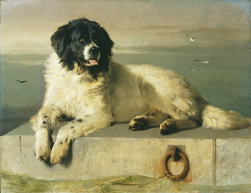 landseer temperament